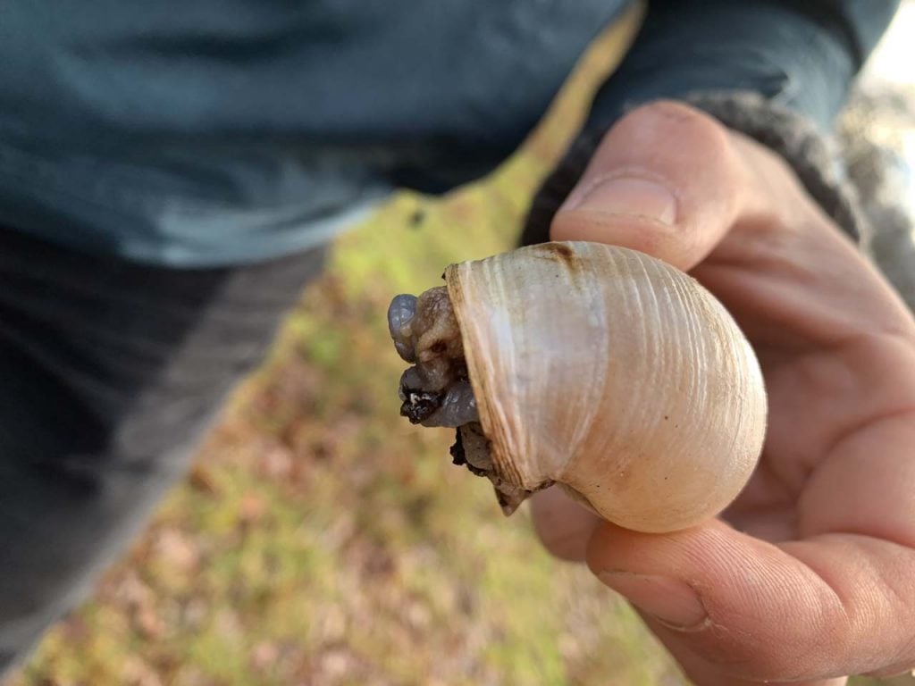 Landgoed Duin en Kruidberg