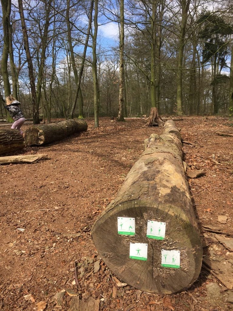 Wandelen bij Landgoed Nieuwe Rande