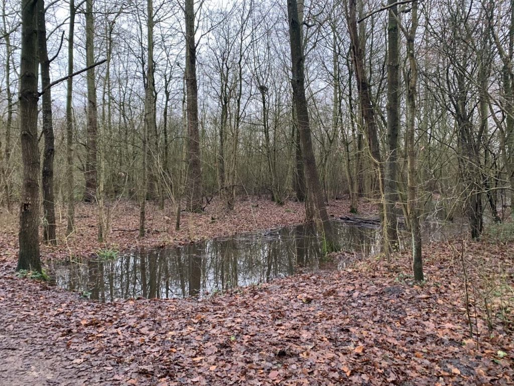 Waarderhout wandelen