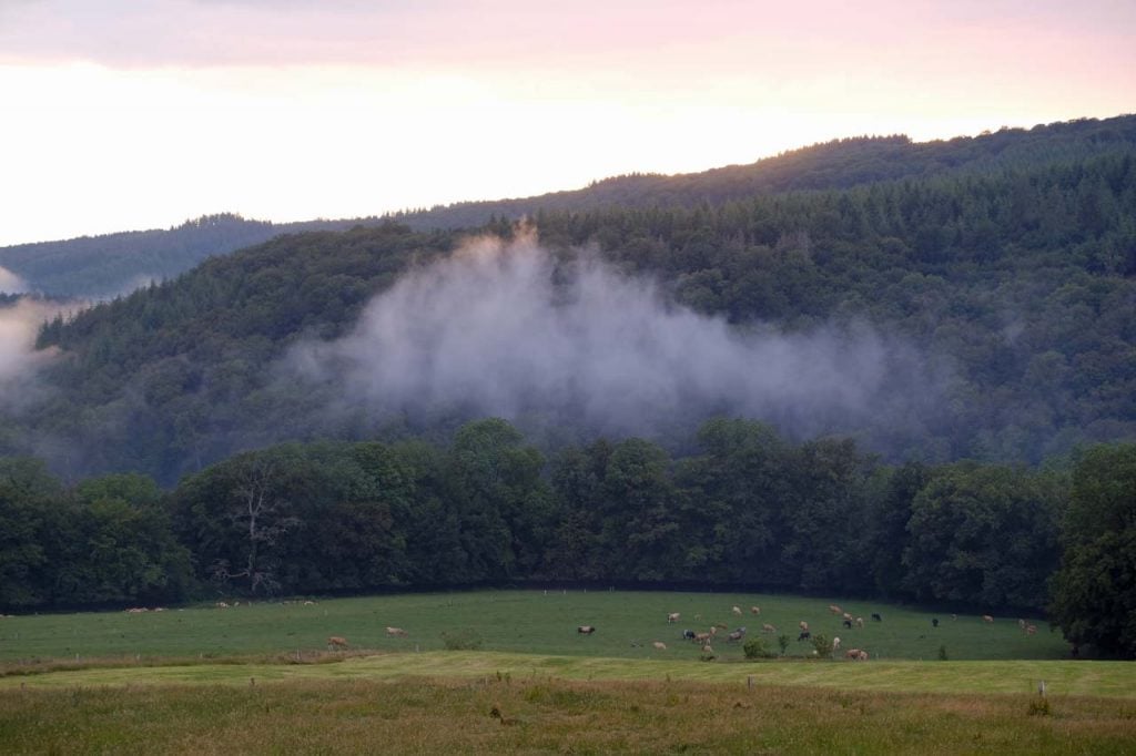 Ardennen met kinderen