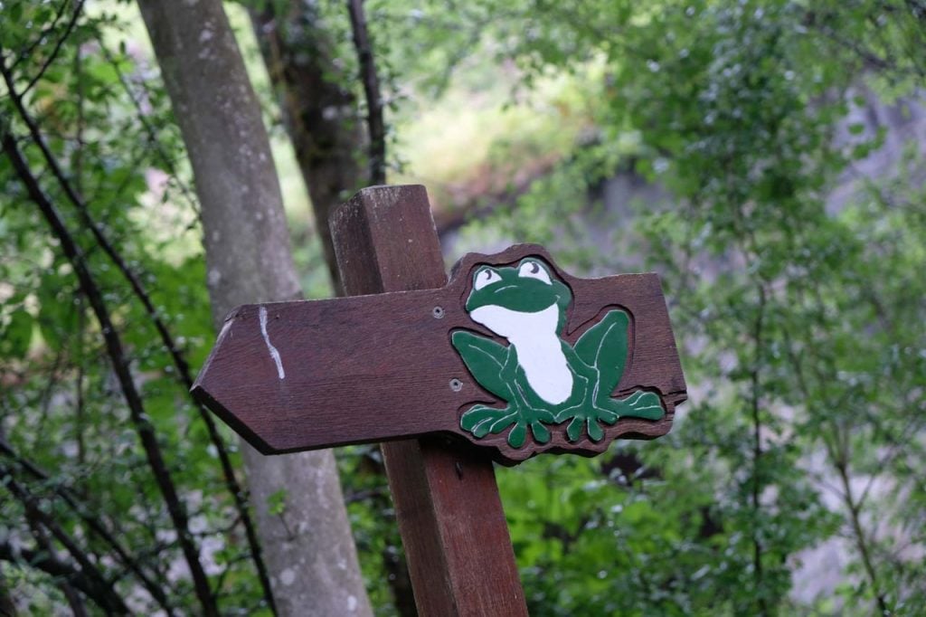 Wandelen Ardennen met kinderen