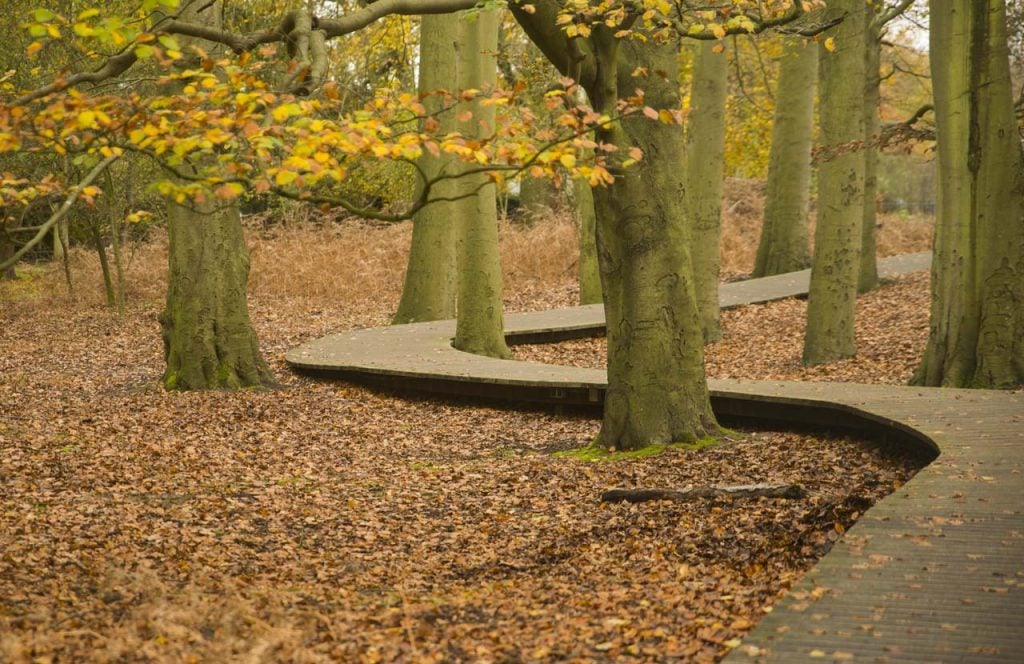 Amsterdamse Waterleidingduinen