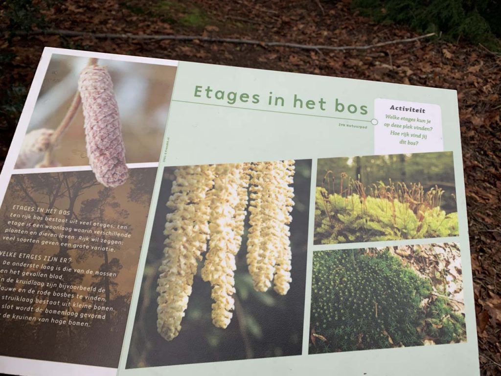 Kindernatuurpad Berg en Bos wandeling