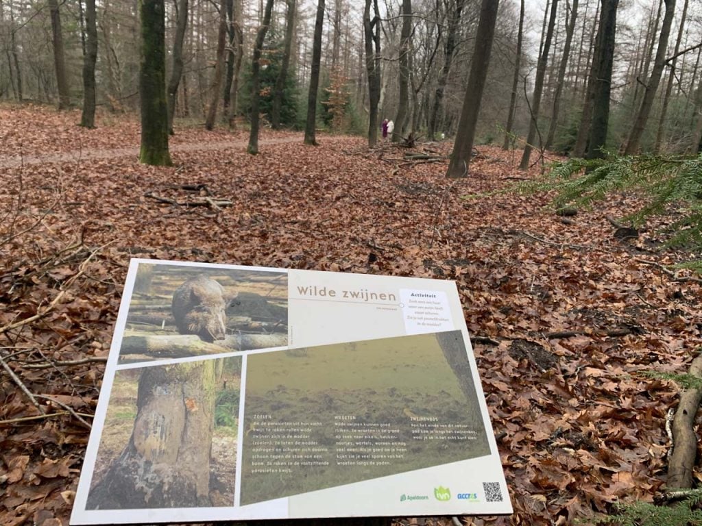 Kindernatuurpad Berg en Bos wandeling