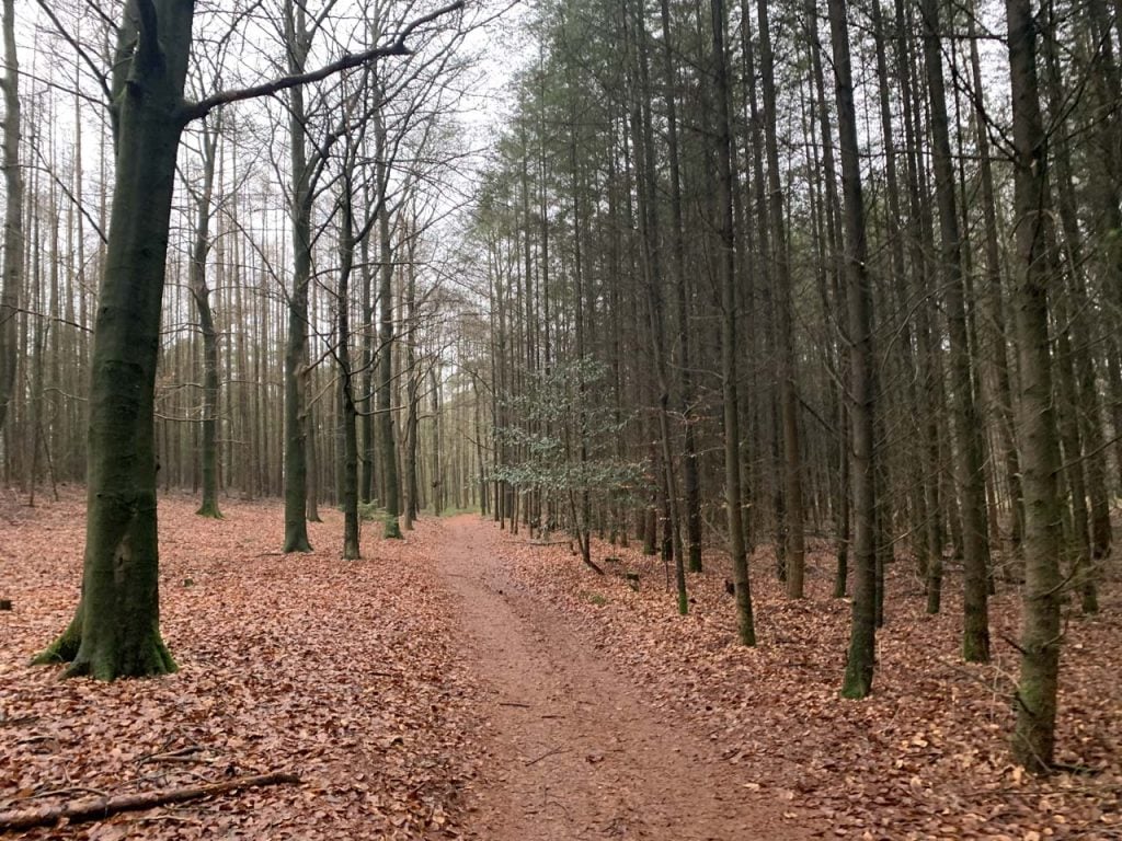 Kindernatuurpad Berg en Bos wandeling