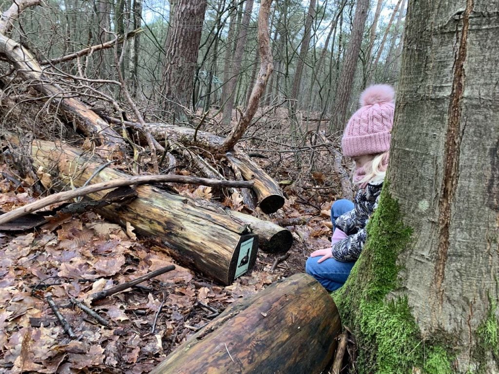 Kinderwandeling Katoenpad Mierlo