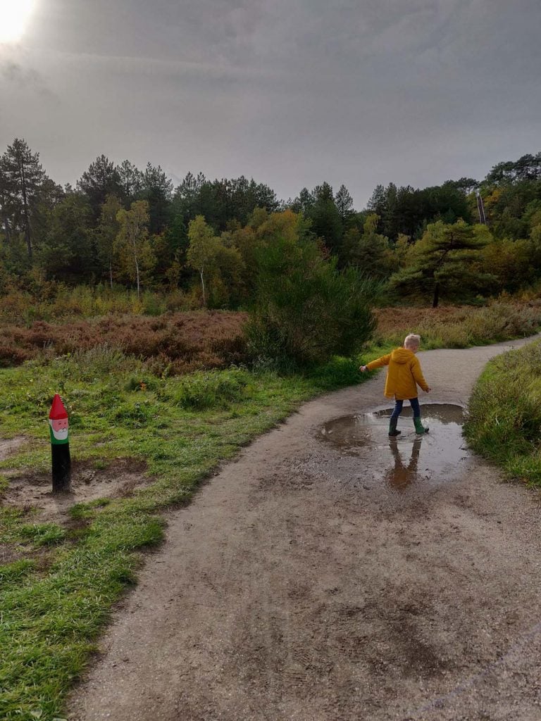 Buitencentrum Schoorlse Duinen