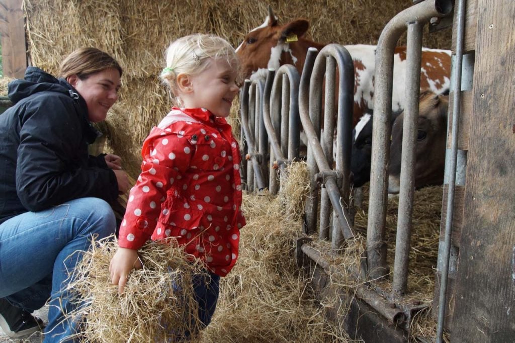 uitjes met peuter boerderij