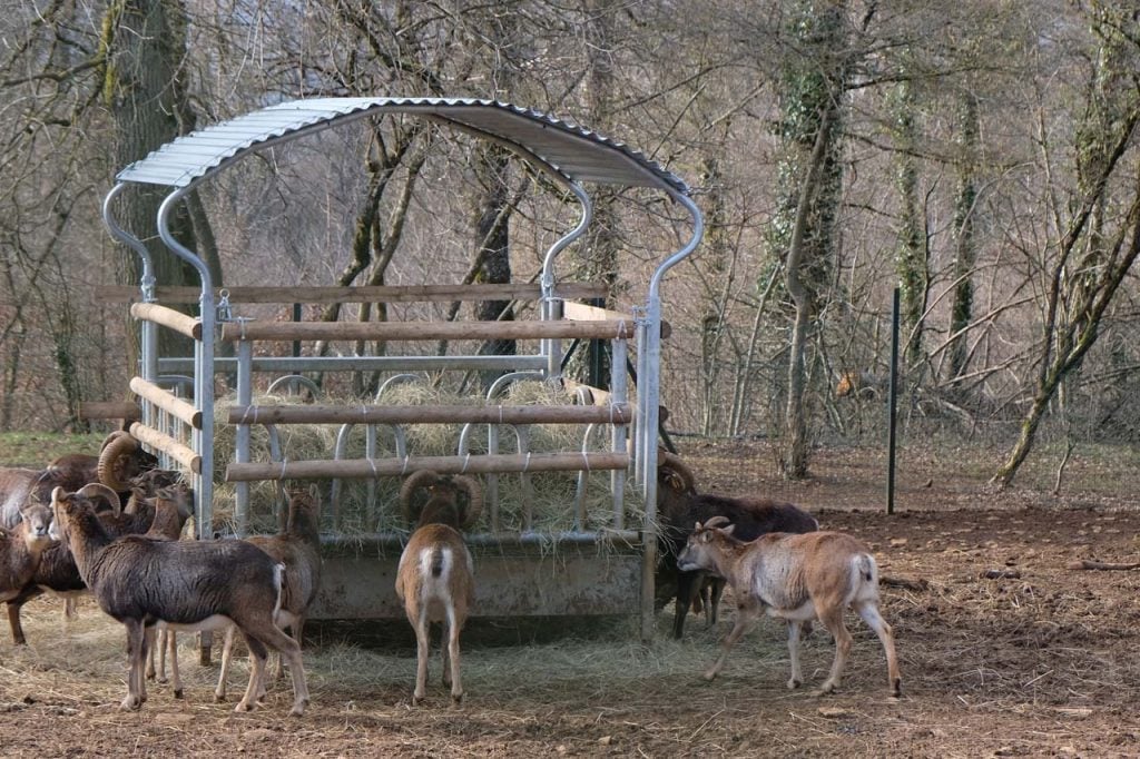 Dierenpark Luxemburg Escher Déierepark