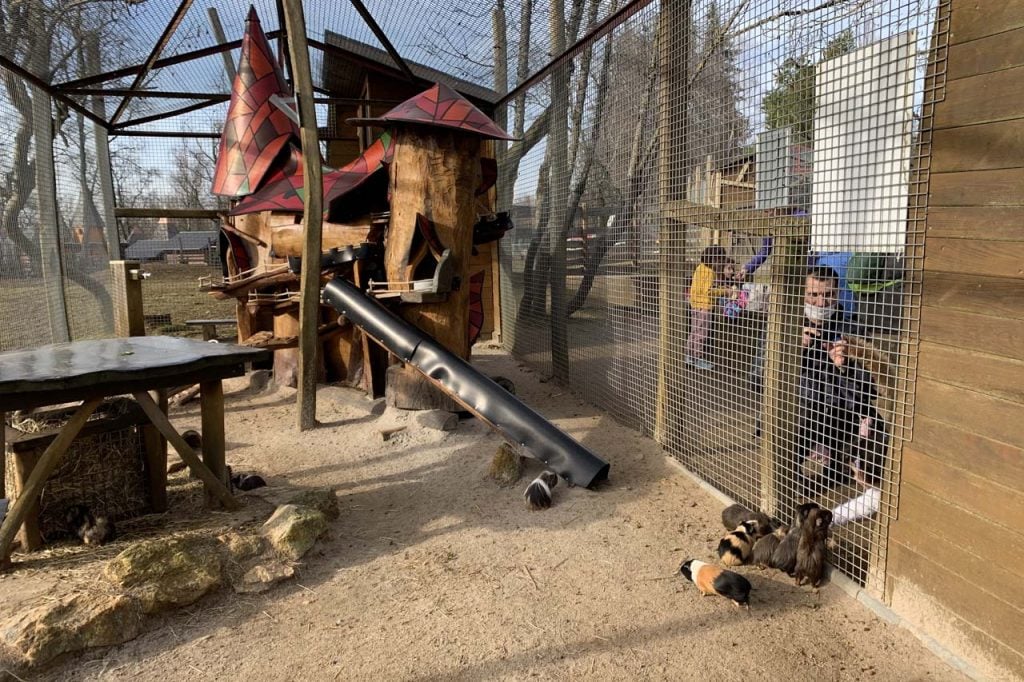 Dierenpark Luxemburg Escher Déierepark