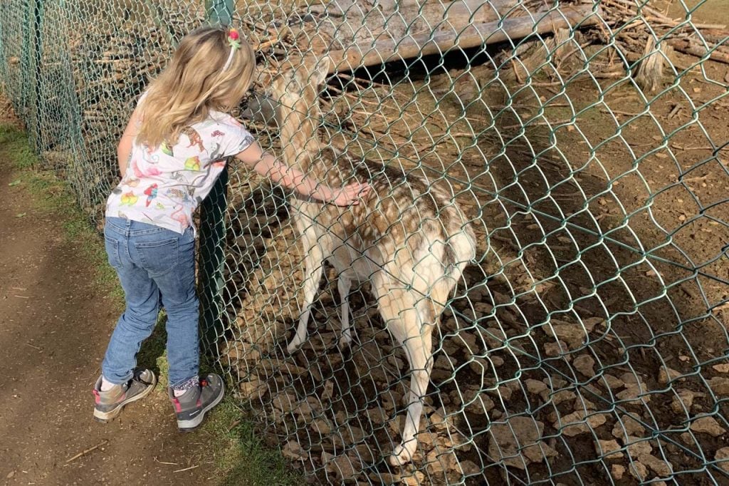 Dierenpark Luxemburg Escher Déierepark