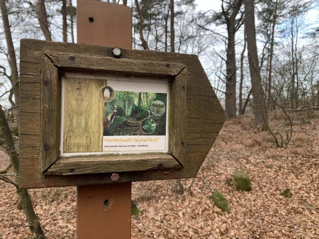 Natuurontdekkingswandeling Berdorf