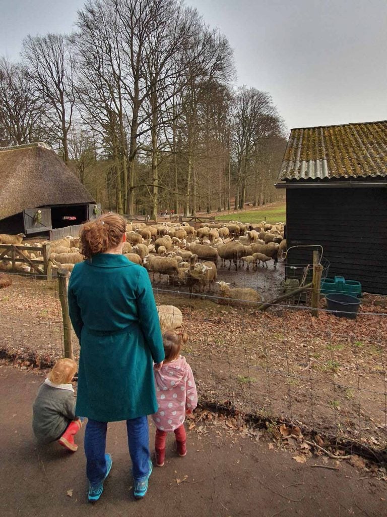 Wandelroute Schaapskooi