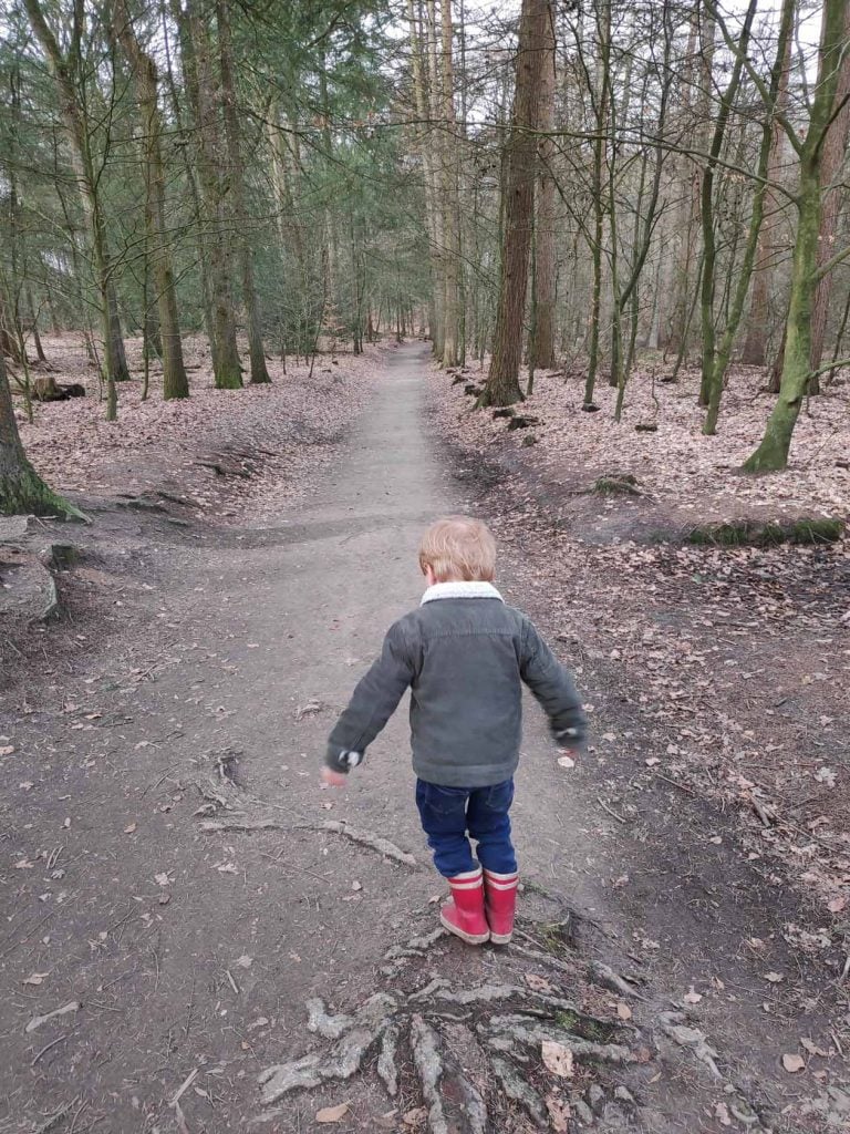 Wandelroute Schaapskooi