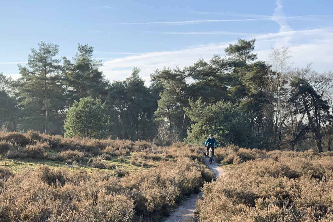 Sallandse heuvelrug met kinderen, speelbos, wandelroutes en