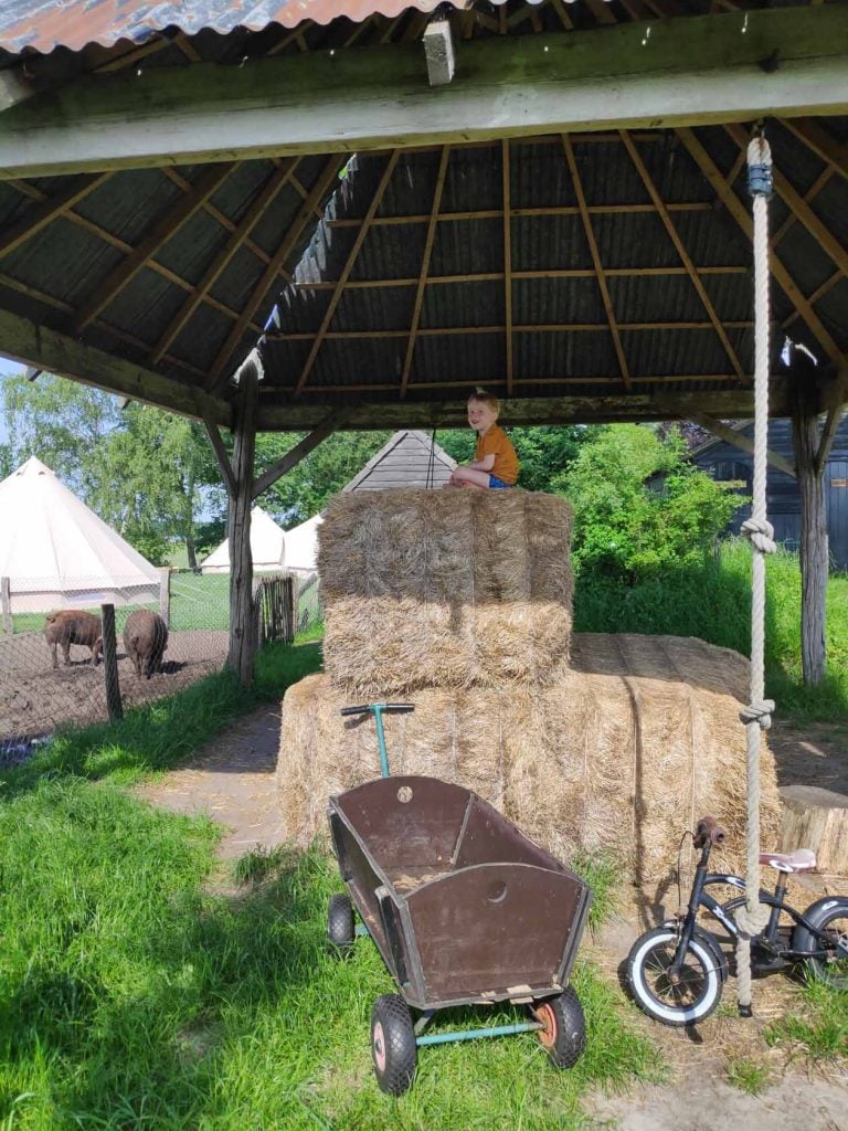 Boerenbed de Landhoeve op de Veluwe