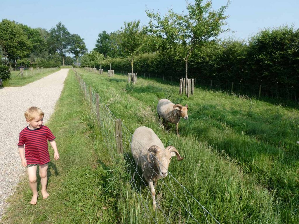 Boerenbed de Landhoeve op de Veluwe