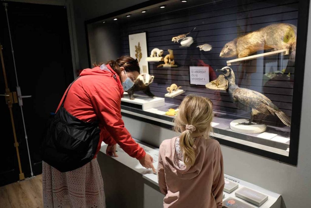 Natuurhistorisch museum Dijon