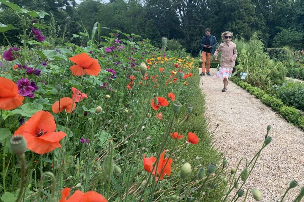 Botanische tuin dijon