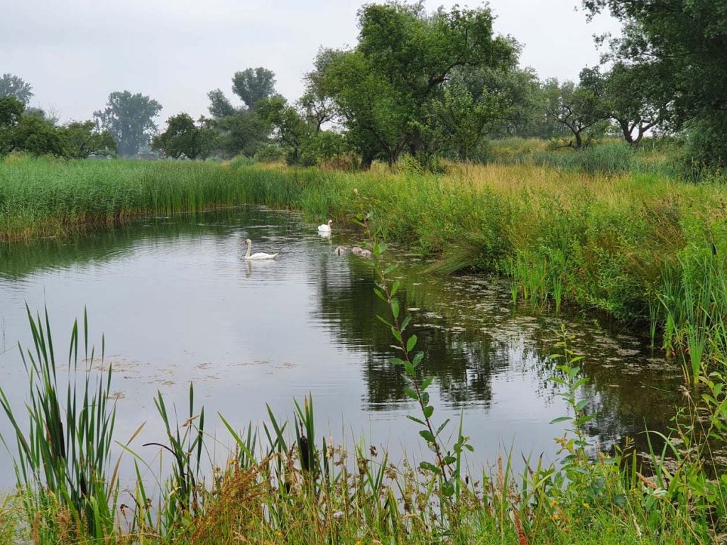 werk aan de groeneweg