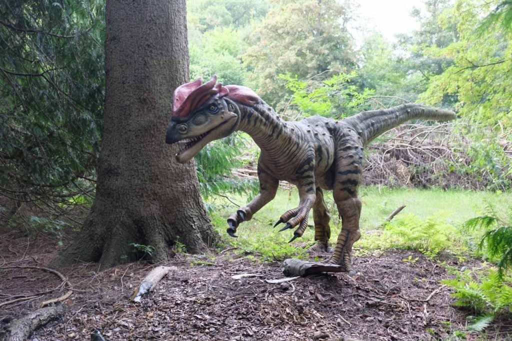 Dinopark Knuthenborg