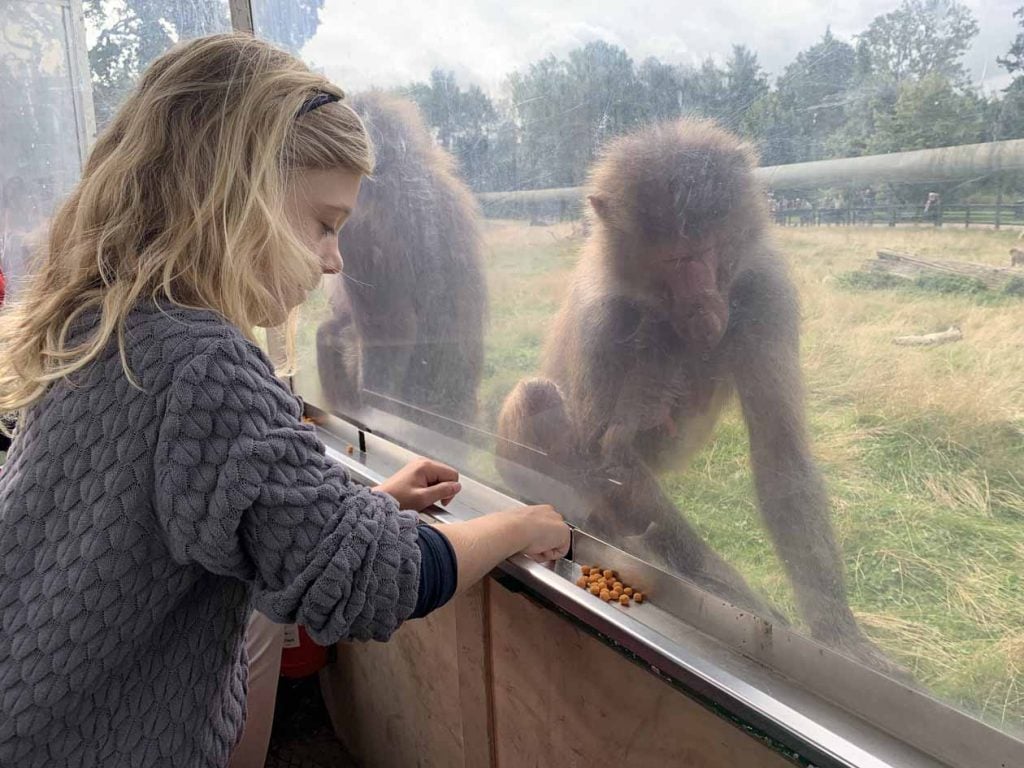 Knuthenborg Safaripark