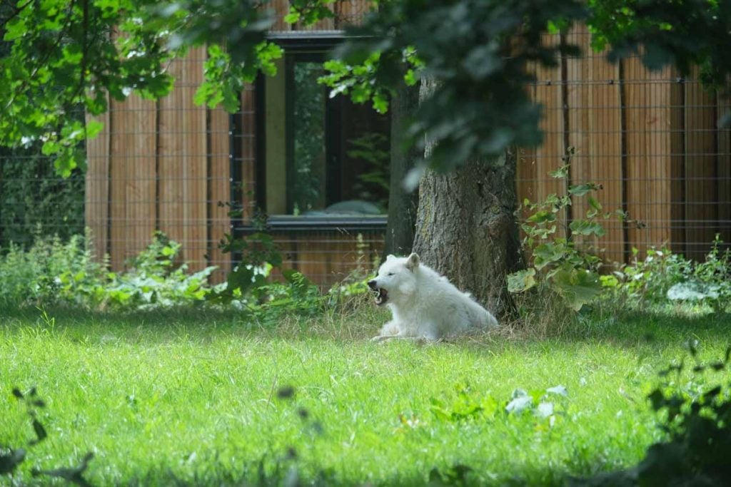 Knuthenborg Safaripark