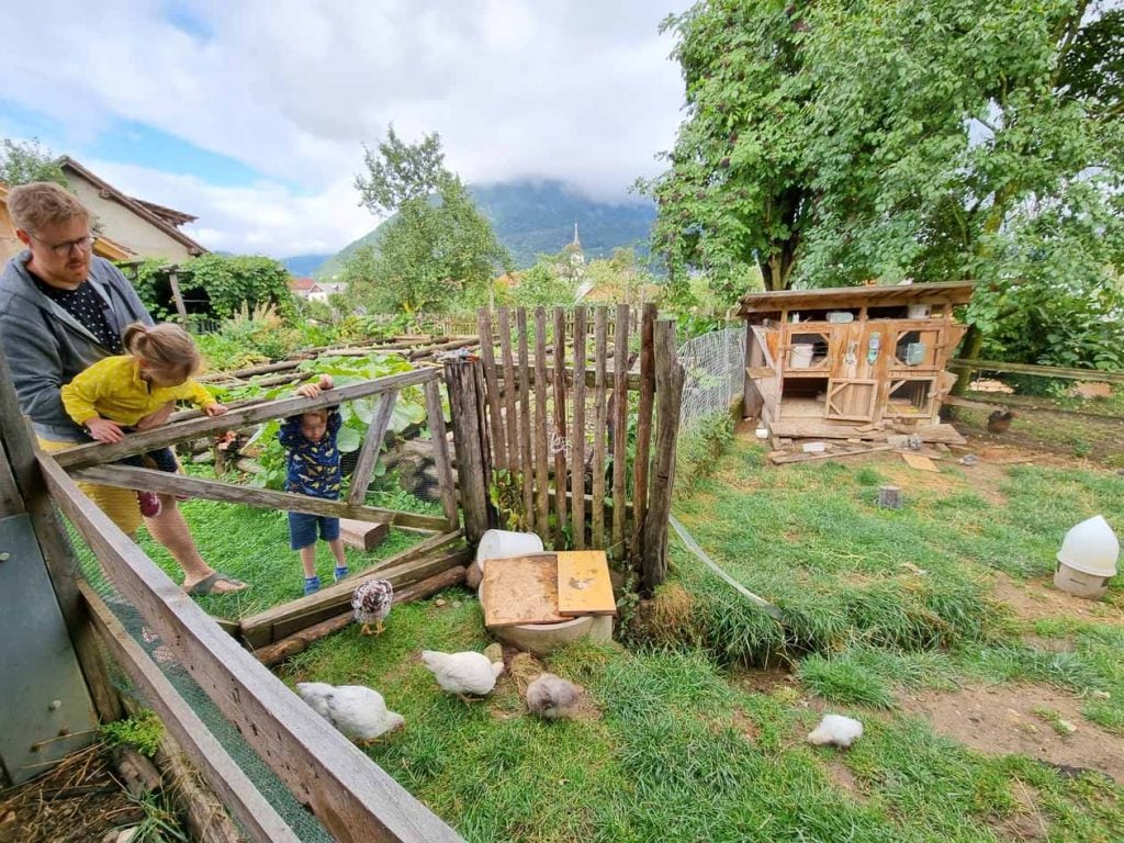 Organic Farm Šlibar in Tržič