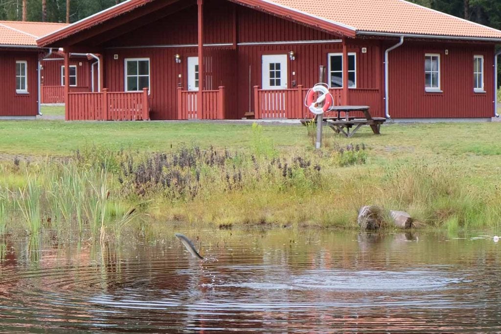 Kosta Lodge vijver