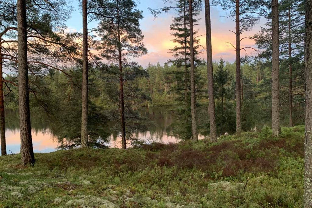 Wandelen en mountainbiken in Kosta