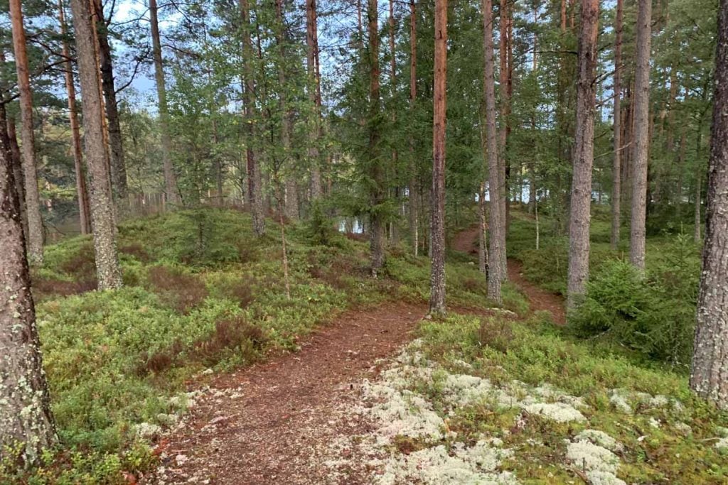 Wandelen en mountainbiken in Kosta