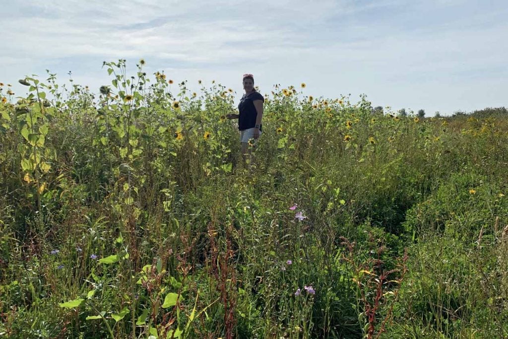 Wandelen op Tiengemeten met kids 