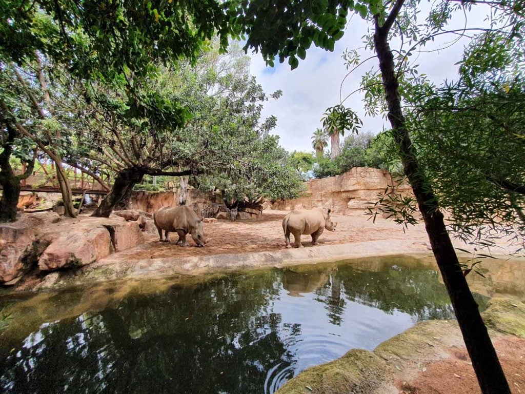 valencia bioparc