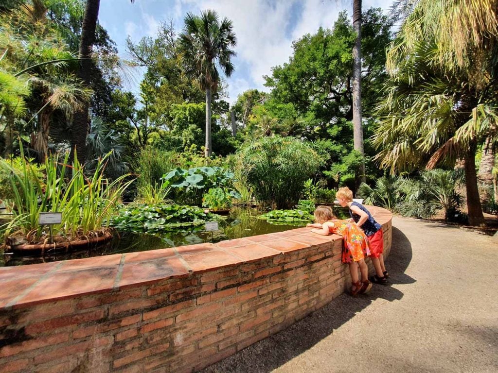 Botanische tuinen: Jardín Botánico de la Universidad de València