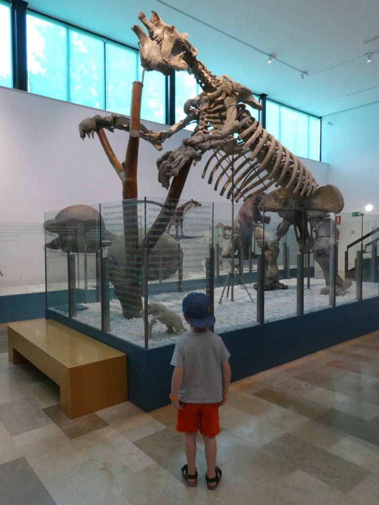 Museo de Ciencias Naturales de València