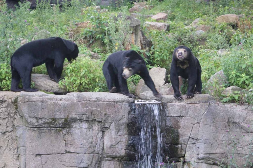 Burgers' Zoo