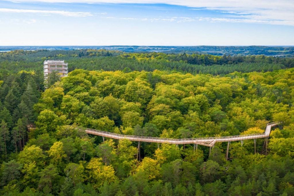 Boomkroonpad Usedom