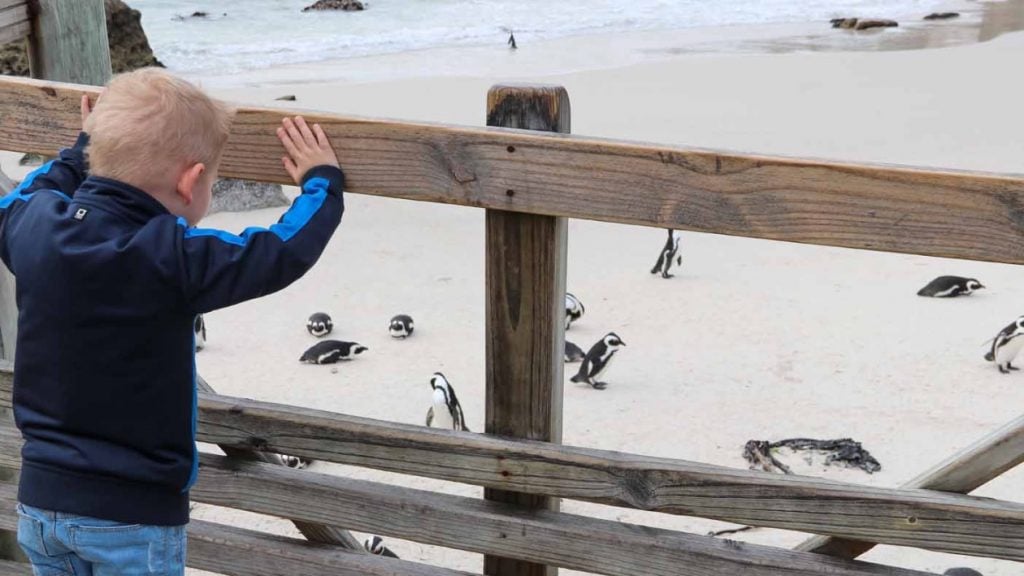 Boulders Beach