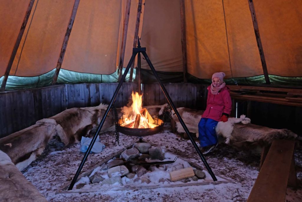 Hondensleetocht