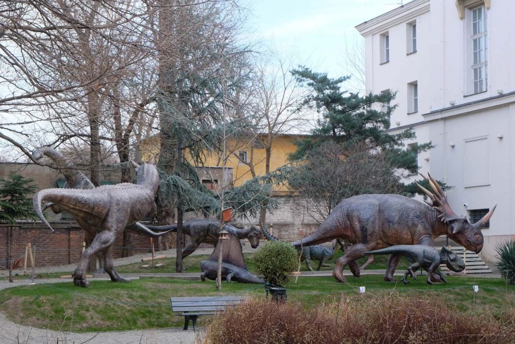 Boedapest natuurhistorisch museum