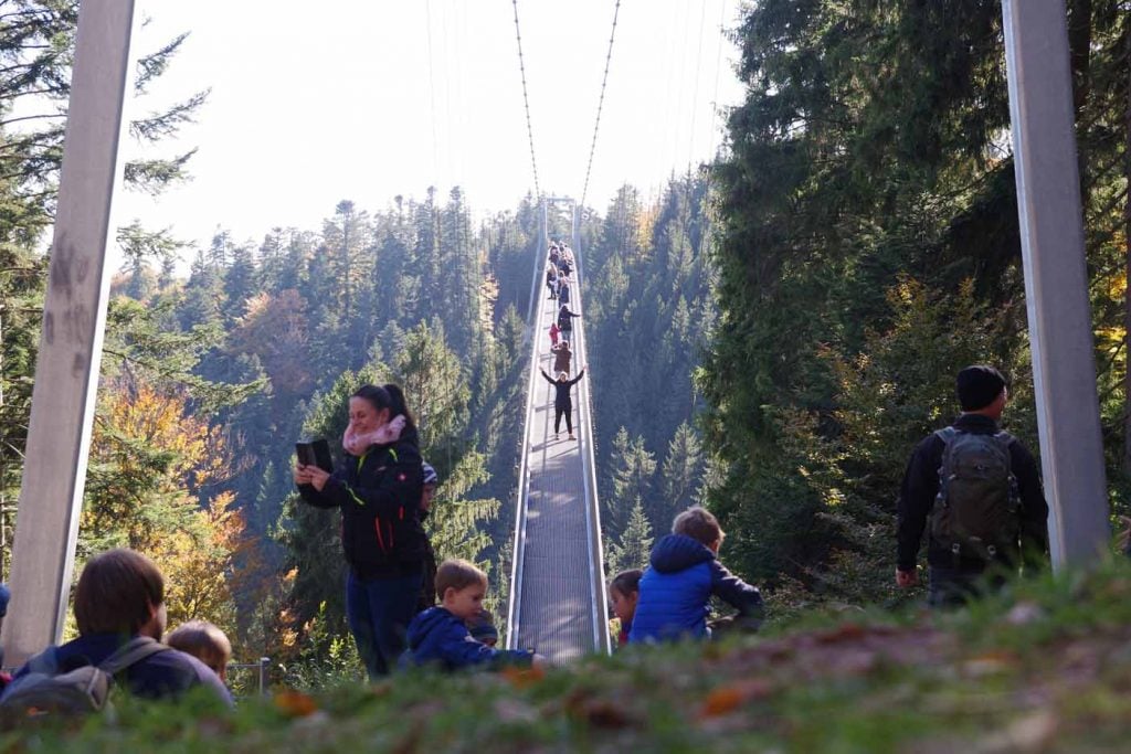 Baumwipfelpfad Schwarzwald