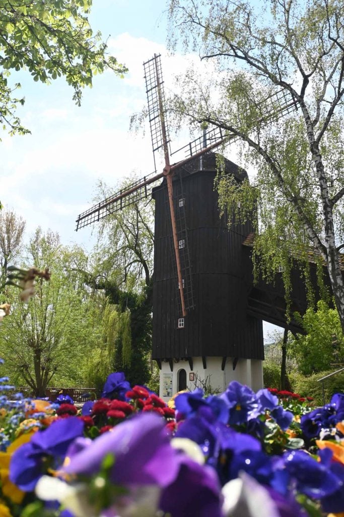 Molen Tripsdrill