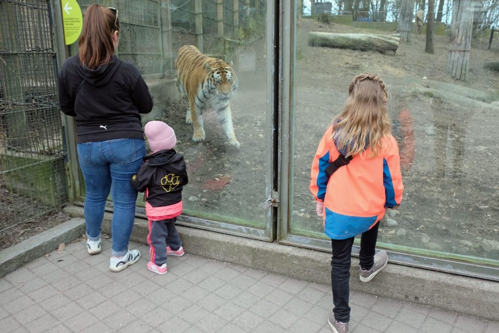 dierentuin Helsinki