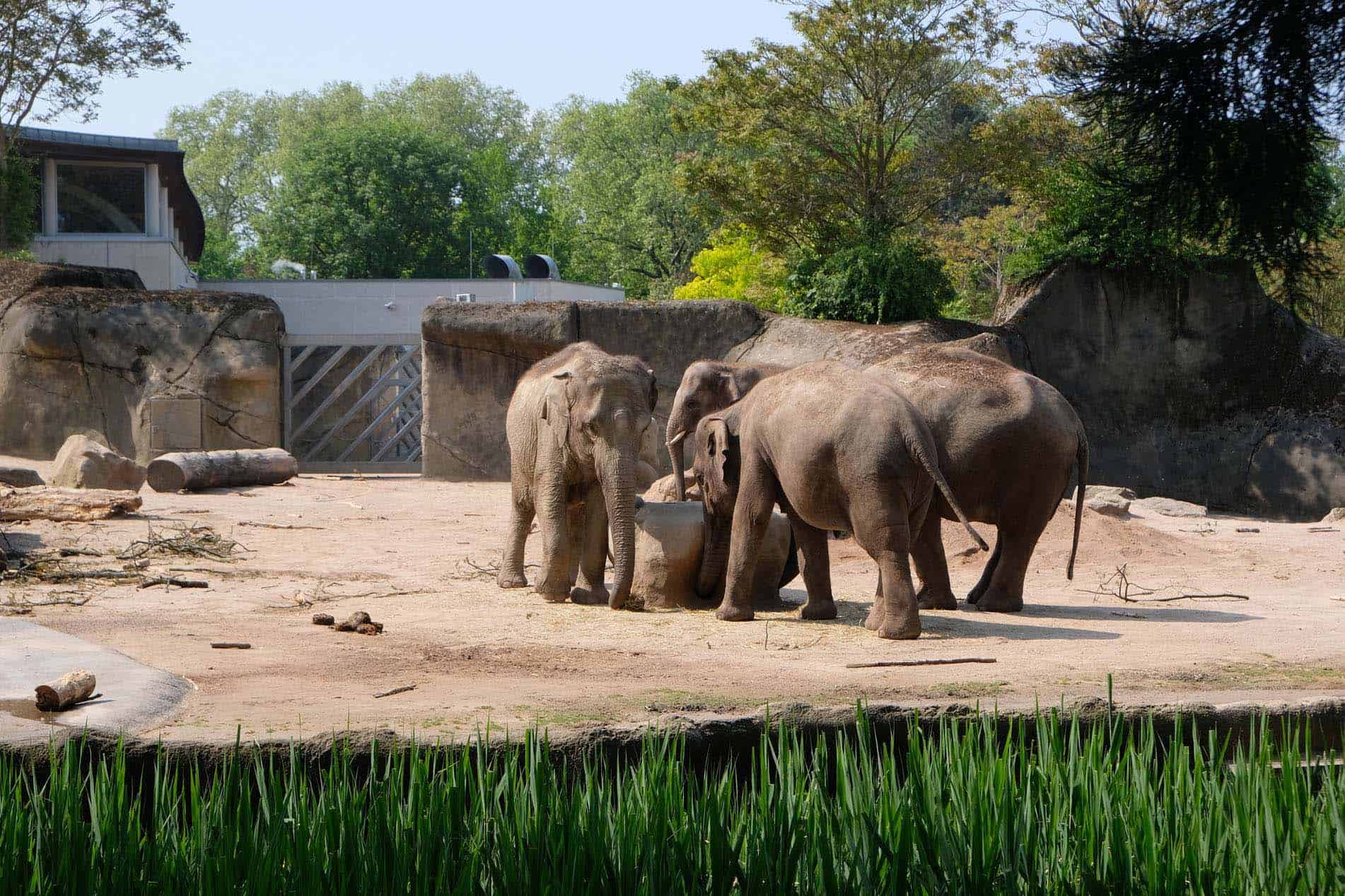 Keulen dierentuin