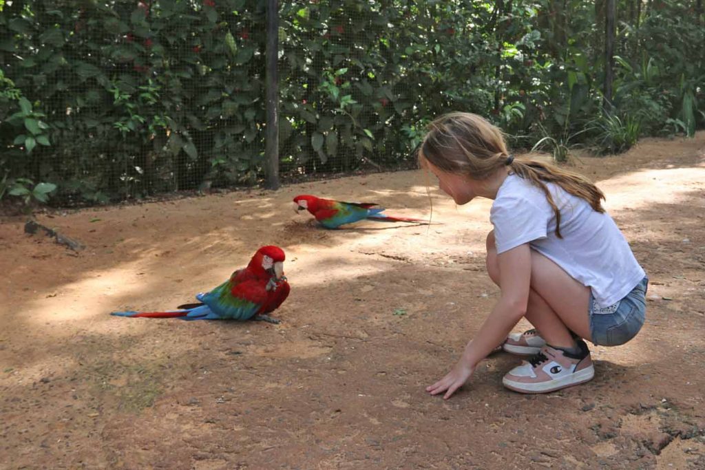 Vogelpark Iguazu