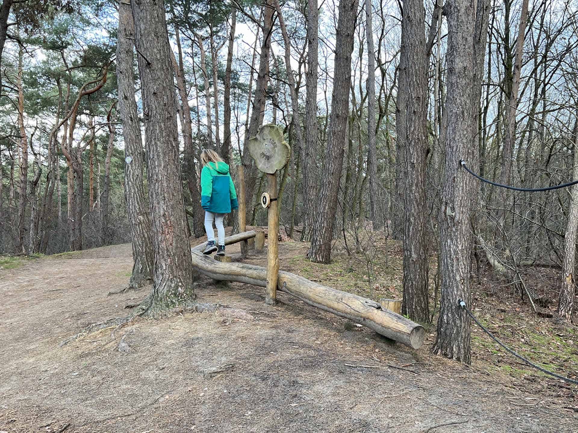 Stoertoer balansbalk