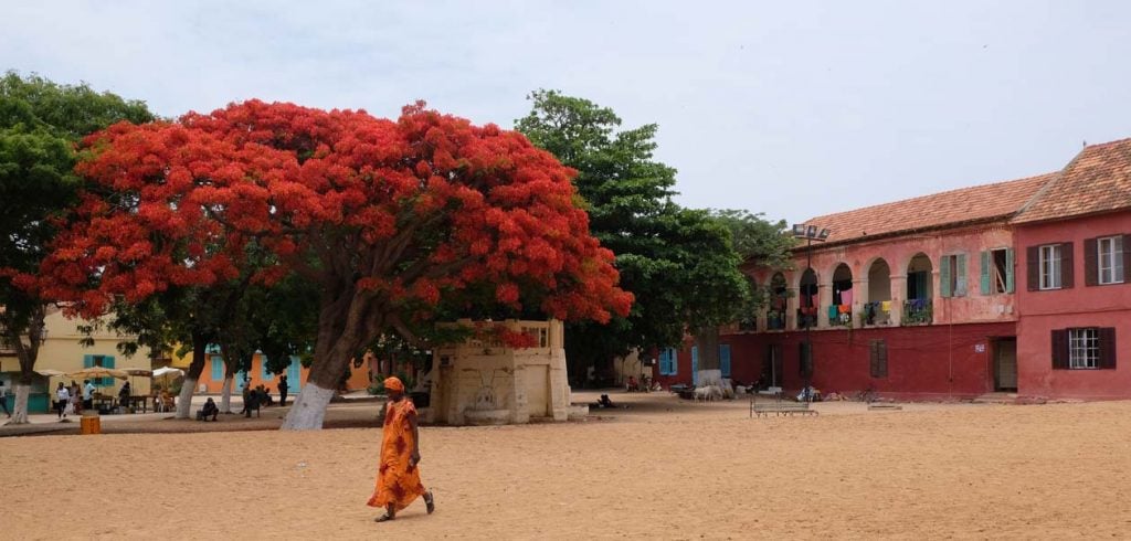 goree