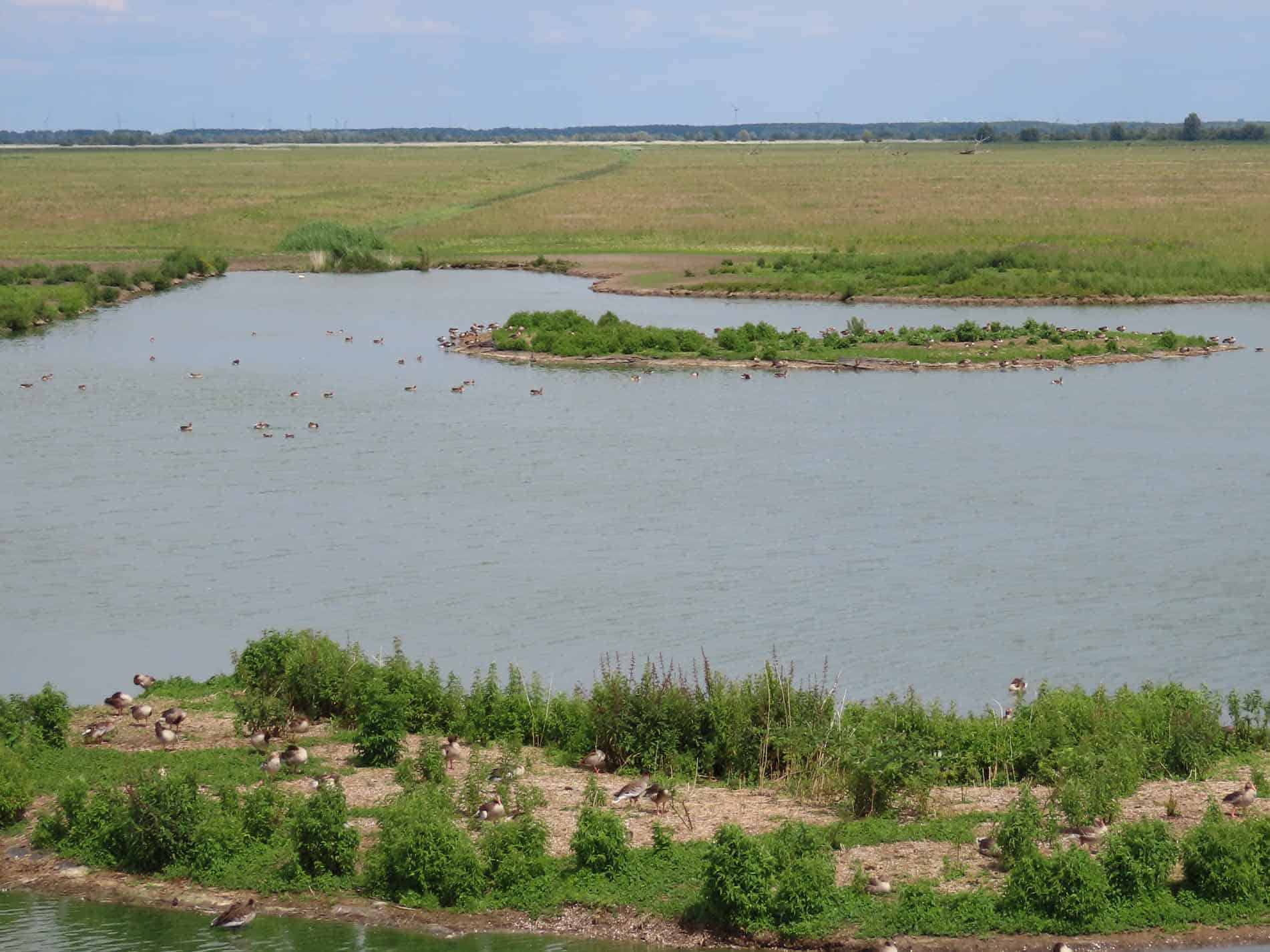 Safari Flevoland