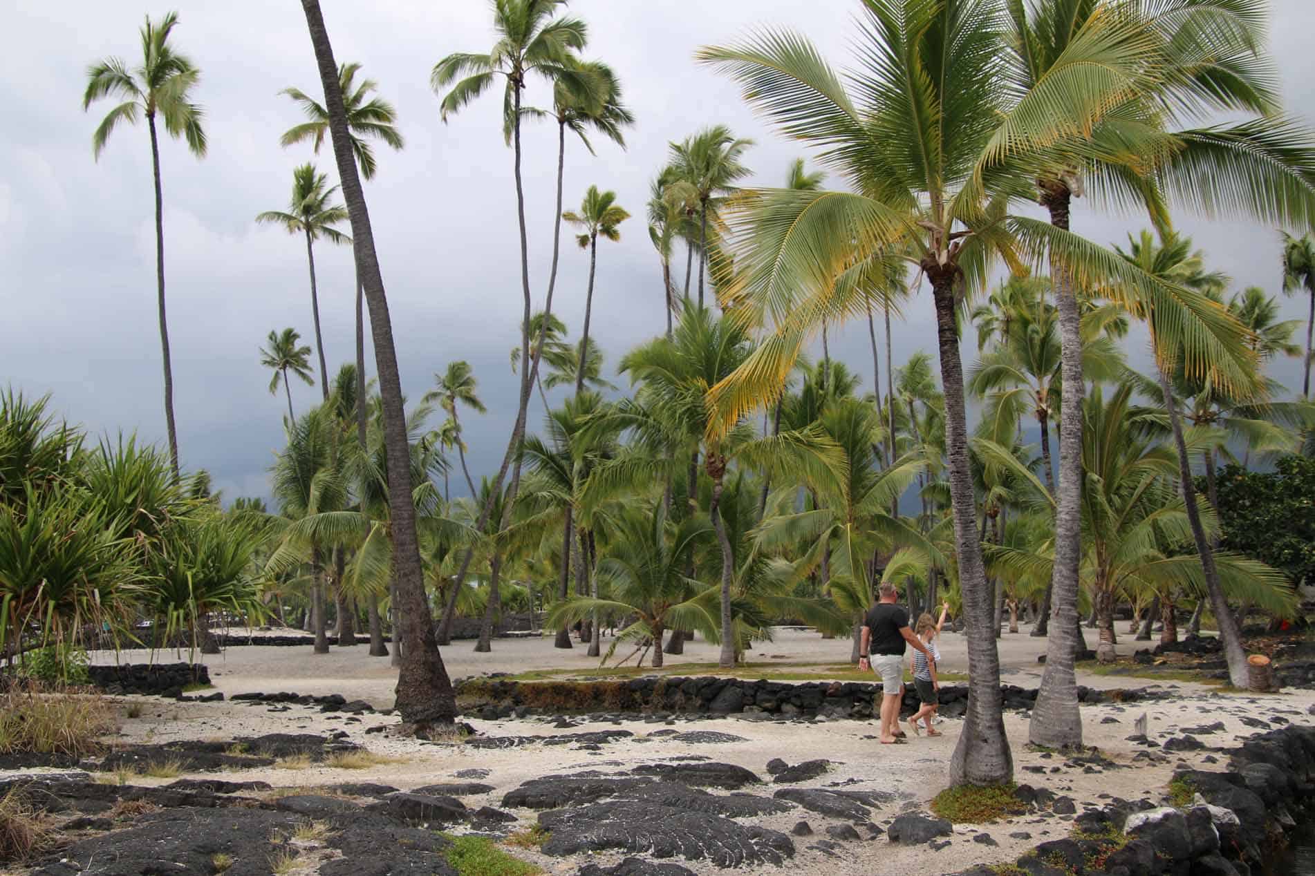 big island