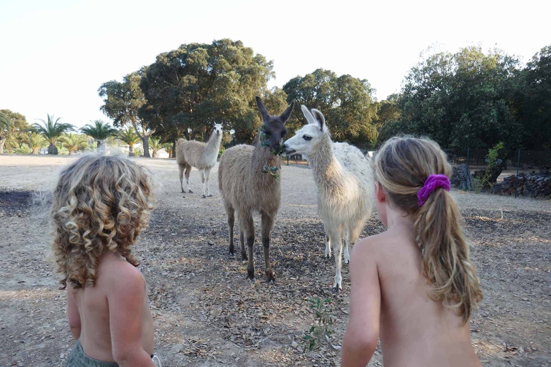 Naturismevakantie